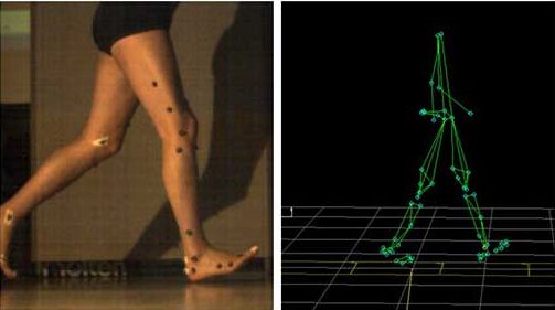 Ganganalyse: Mit Markern versehene Körperpositionen am Bein beim Rennen sowie rechts die mittels Software erzeugten kinematischen Human Motion Capture-Daten.