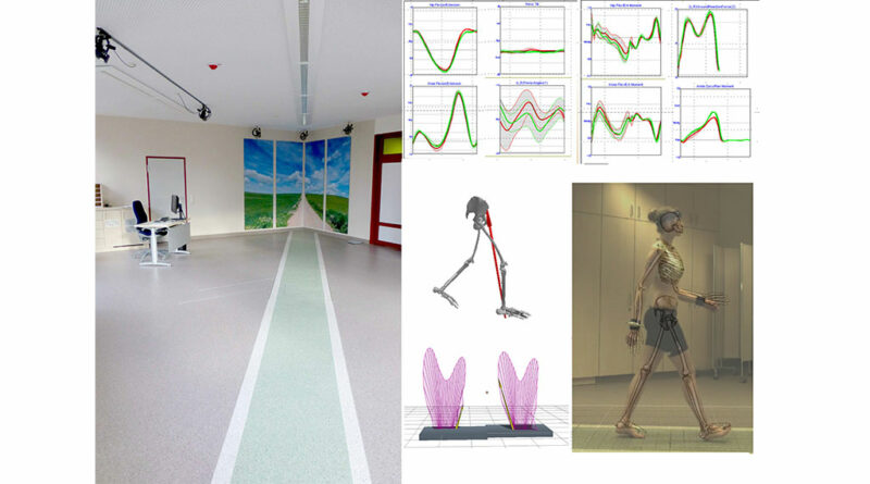 Dreidimensionale Bewegungsanalyse, Darstellung kinematischer und kinetischer Daten, Bodenreaktionskräfte sowie Visualisierung des Gangbildes.