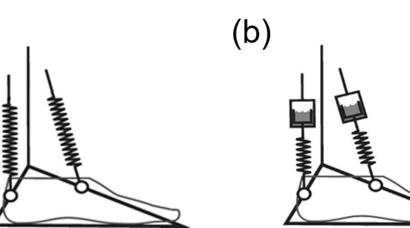 Unterschiedliche Gelenkprinzipien; a) mechanisches Modell eines herkömmlichen energiespeichernden Fußes, der nach der Bewegung wieder in die Ausgangsposition zurückkehrt, b) mechanisches Modell eines Hydraulikknöchelgelenkes