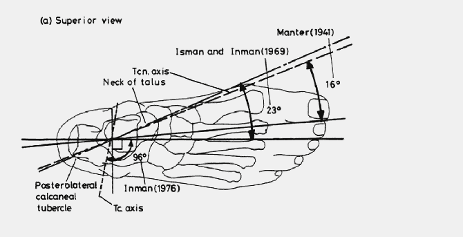 Darstellung der Orientierung der Achsen des oberen und des unteren Sprunggelenks für verschiedene Autoren nach ( Procter P, Paul JP. Ankle joint biomechanics. Journal of Biomechanics, 1982; 15 (9): 627-634).