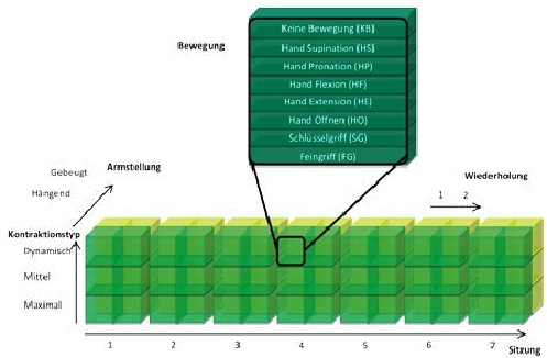Aufgezeichneter EMG-Datensatz mit den Dimensionen Bewegung × Kontraktionstyp × Wiederholung × Armstellung × Sitzung.