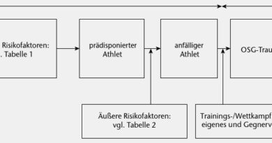 Wechselbeziehungen zwischen internen und externen Risikofaktoren für eine Sportverletzung (Bahr R, Krosshaug T. Understanding injury mechanisms: a key component of preventing injuries in sport. Br J Sports Med, 2005; 39 (6): 324-329).