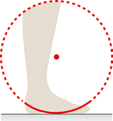 Vereinfachtes Abrollmodell des Fußes.