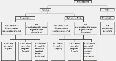 Systematische Einteilung von Prothesenfußpassteilen