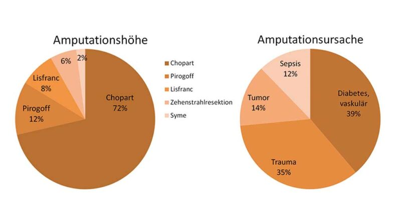 Verteilung von Amputationshöhe (a) und Amputationsursache (b).