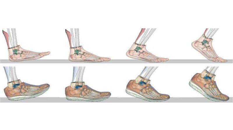 Simulierter Abrollvorgang barfuß (oben) und mit Schuh (unten) zu verschiedenen Zeitpunkten während der Standphase.