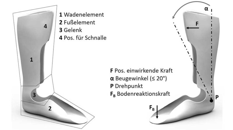 Traditionelle Unterschenkelorthese mit Bereichsunterteilung (links) und Parametern (rechts).