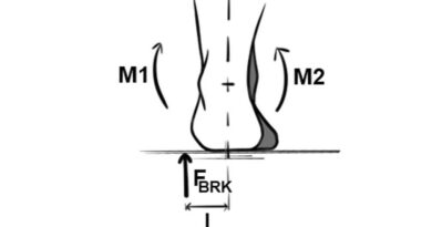 Skizzenhafte Darstellung des Wirkmechanismus durch Darstellung der physikalischen Gleichgewichtsbedingung. Die Erfüllung der Gleichgewichtsbedingung M1 + FBRK*l – M2 = 0 legt dar, dass die intrinsisch hervorgerufenen Momente M1 und M2 mit dem externen Moment FBRK*l in Wechselwirkung stehen und dass die Einlagen den Angriffspunkt der Bodenreaktionskraft FBRK steuern können.