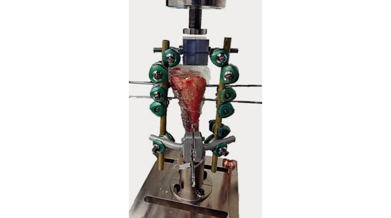 Versuchsaufbau humane Tibia.