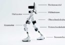 HAL Robot Suit.
