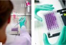 Abb. 1a u. b Im Zytotoxizitätstest nach DIN EN ISO 10993-5 kommt die BCA-Proteinfärbung zum Einsatz, um den Gesamtproteingehalt kultivierter Zellen zu ermitteln. Der gemessene Proteingehalt dient dabei als indirektes Maß für die Zellzahl und ermöglicht eine Bewertung der Zellviabilität nach Kontakt mit dem Prüfmaterial. Pipettieren des Zytotoxizitätstest unter der Sterilwerkbank (a); Auswertung des Zytotoxizitätstest mittels Photometer (b).