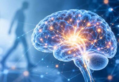 Neue Impulse für die Neurorehabilitation: Die Deutsche Gesellschaft für interdisziplinäre Neurorehabilitation fördert den fachübergreifenden Austausch über moderne Behandlungsansätze.